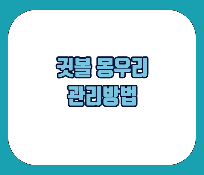 귓볼 몽우리 관리방법