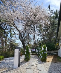 생생정보 고수의 부엌 부산 광안리 낙지볶음과 편백보쌈 맛집 부산 청산 1954 광안리 본점