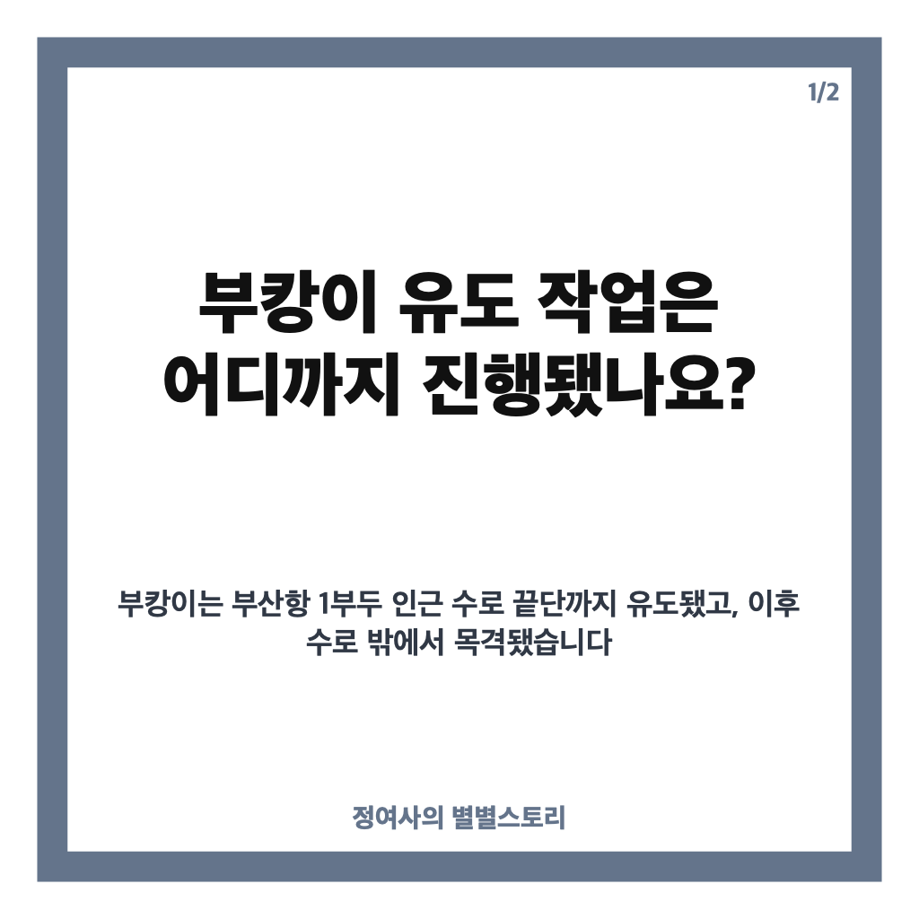 부캉이 유도 작업 완료, 부산 북항 수로 밖 이동 후 외해 진입은? 카드뉴스 1