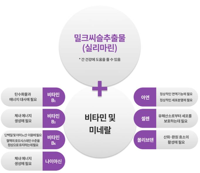닥터아돌 몰리브덴 밀크씨슬 실리마린