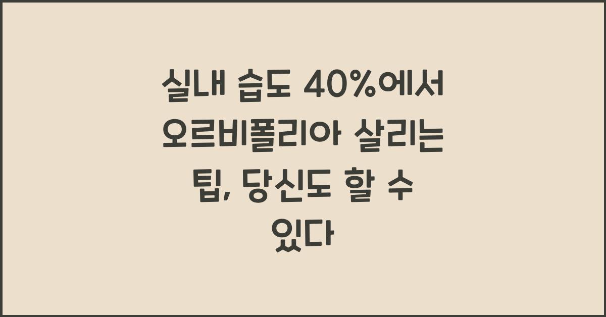 실내 습도 40%에서 오르비폴리아 살리는 팁