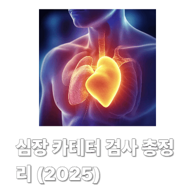 심장 카테터 검사 총정리 (2025)