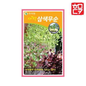 새싹무 재배 씨앗 소독 얇게 파종 통풍 관리_6