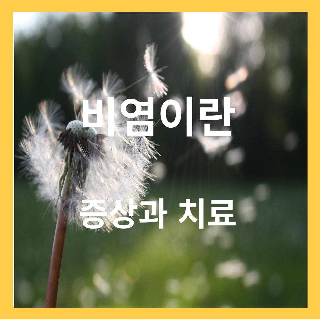 비염- 비염이란, 증상과 치료