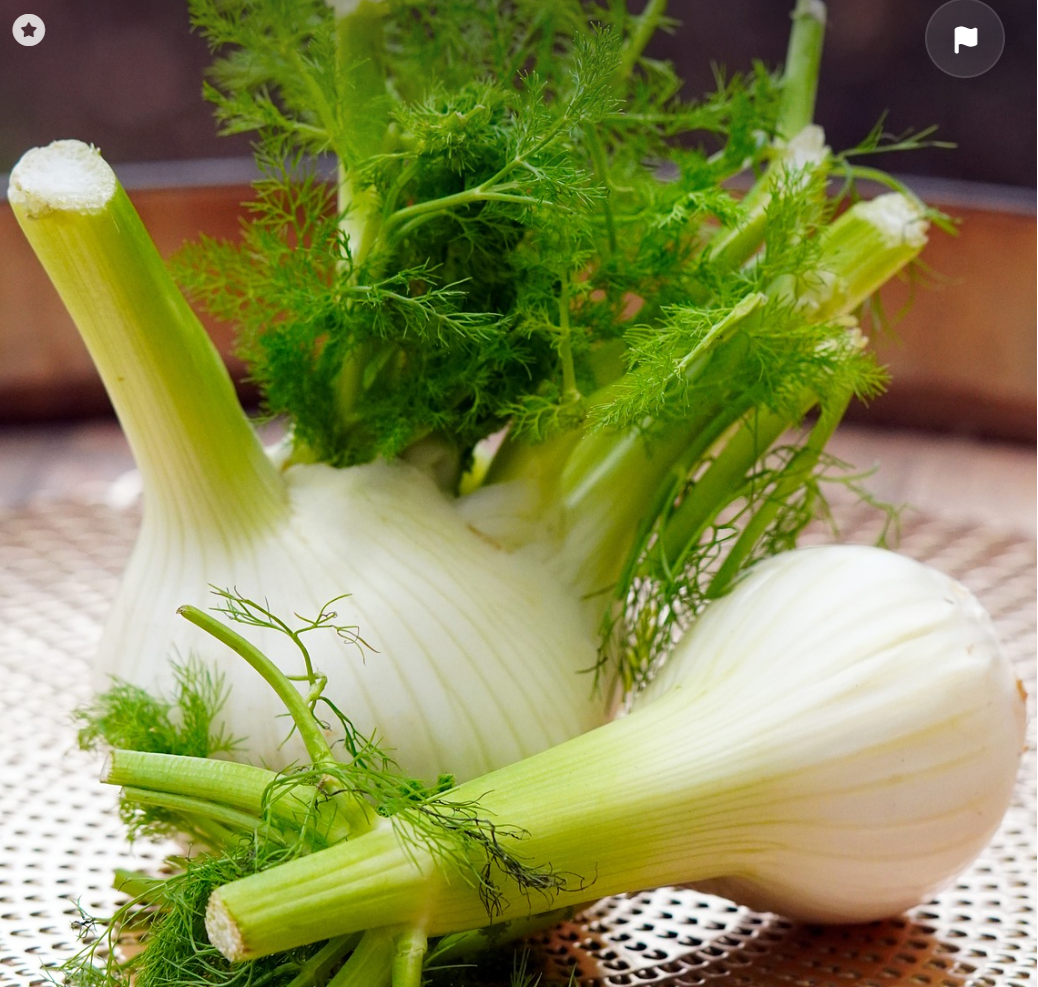 무농약 vs. 유기농: 차이점과 인증 기준 완벽 정리