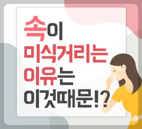 속이 메스꺼운 이유