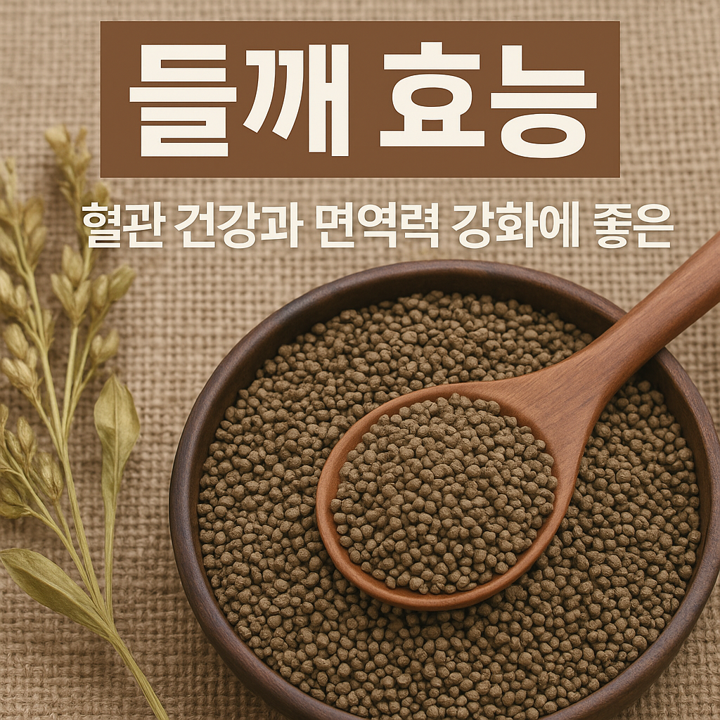 들깨 효능