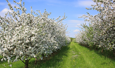 화담숲-예약하기