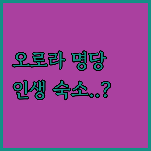 호르나피요르드 오로라 관측 명당 숙소..