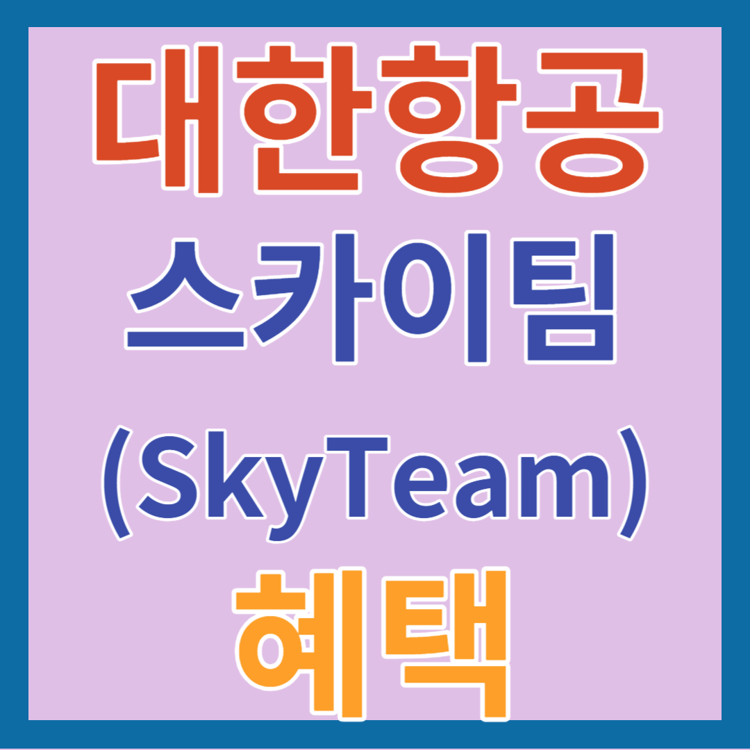 대한항공 스카이팀(SkyTeam)&#44; 중국 남방 항공사 혜택(모닝캄&#44; 프리미엄&#44; 밀리언 마일러 클럽 회원)