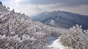 북한산국립공원 실시간 CCTV 확인 방법