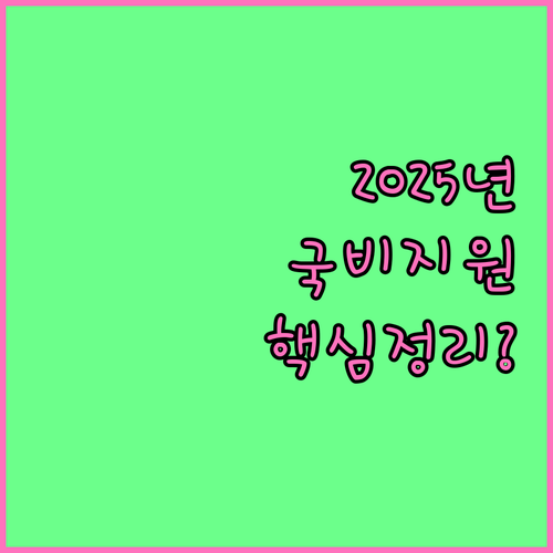 노인복지 민간단체 국고보조금 2025..