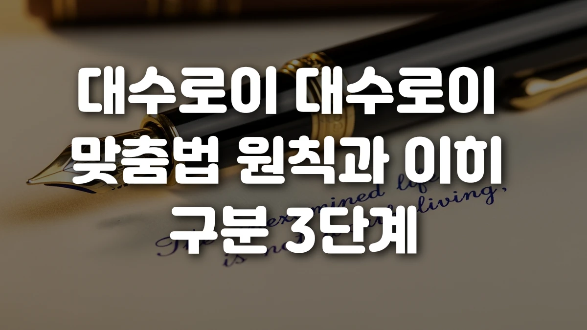 대수로이 대수로이 맞춤법 원칙과 이히 구분 3단계