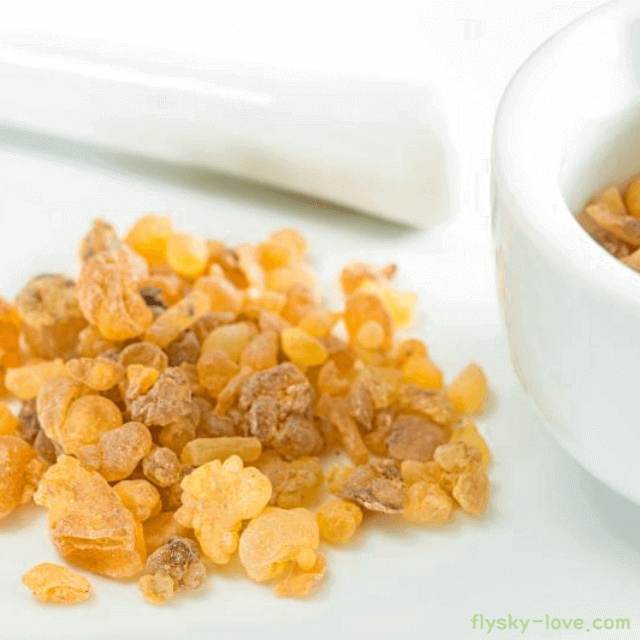 관절 건강에 효과적인 보스웰리아