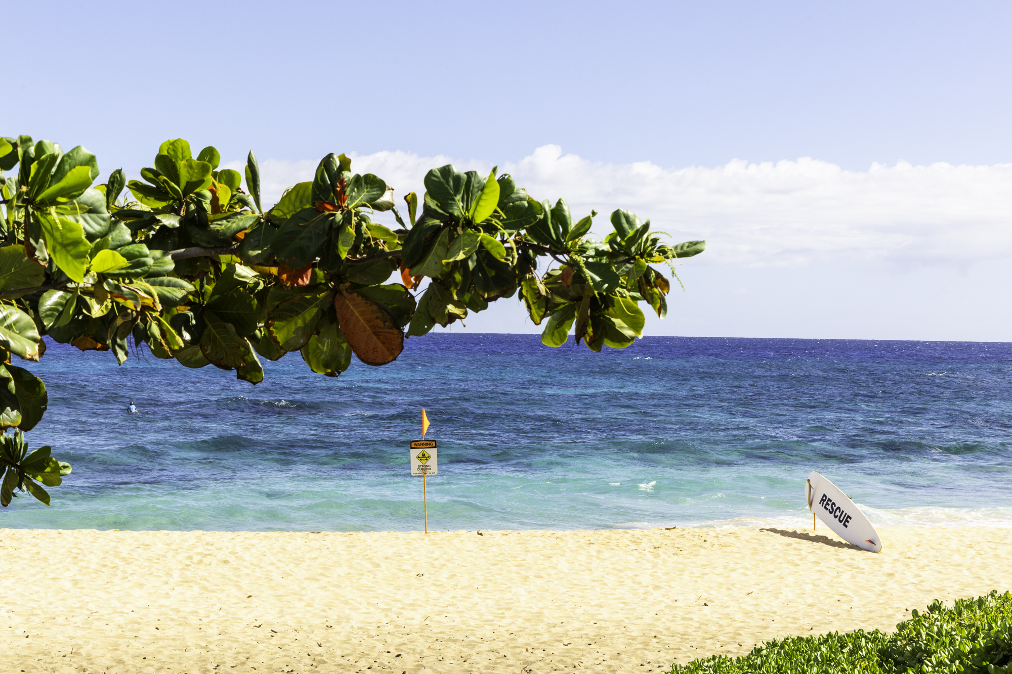 하와이 샌디비치