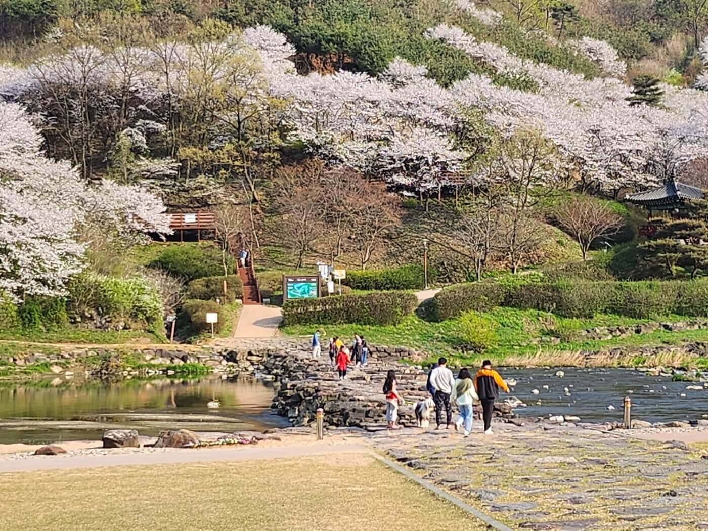 진천 농다리 사진