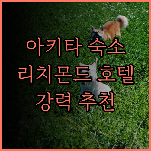 아키타 숙소 완벽 분석 리치몬드 호텔
