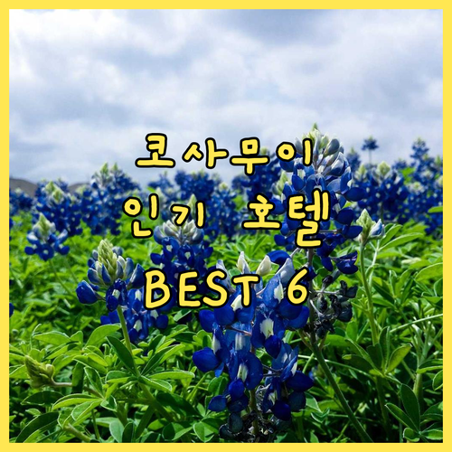 코사무이 인기 호텔 추천 BEST6 