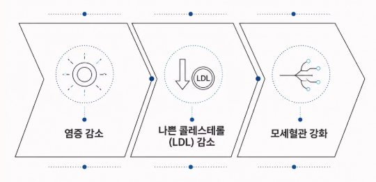 레몬즙 효능