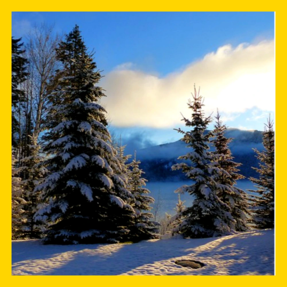 특별재난지역-선포-기준-혜택-선포지역