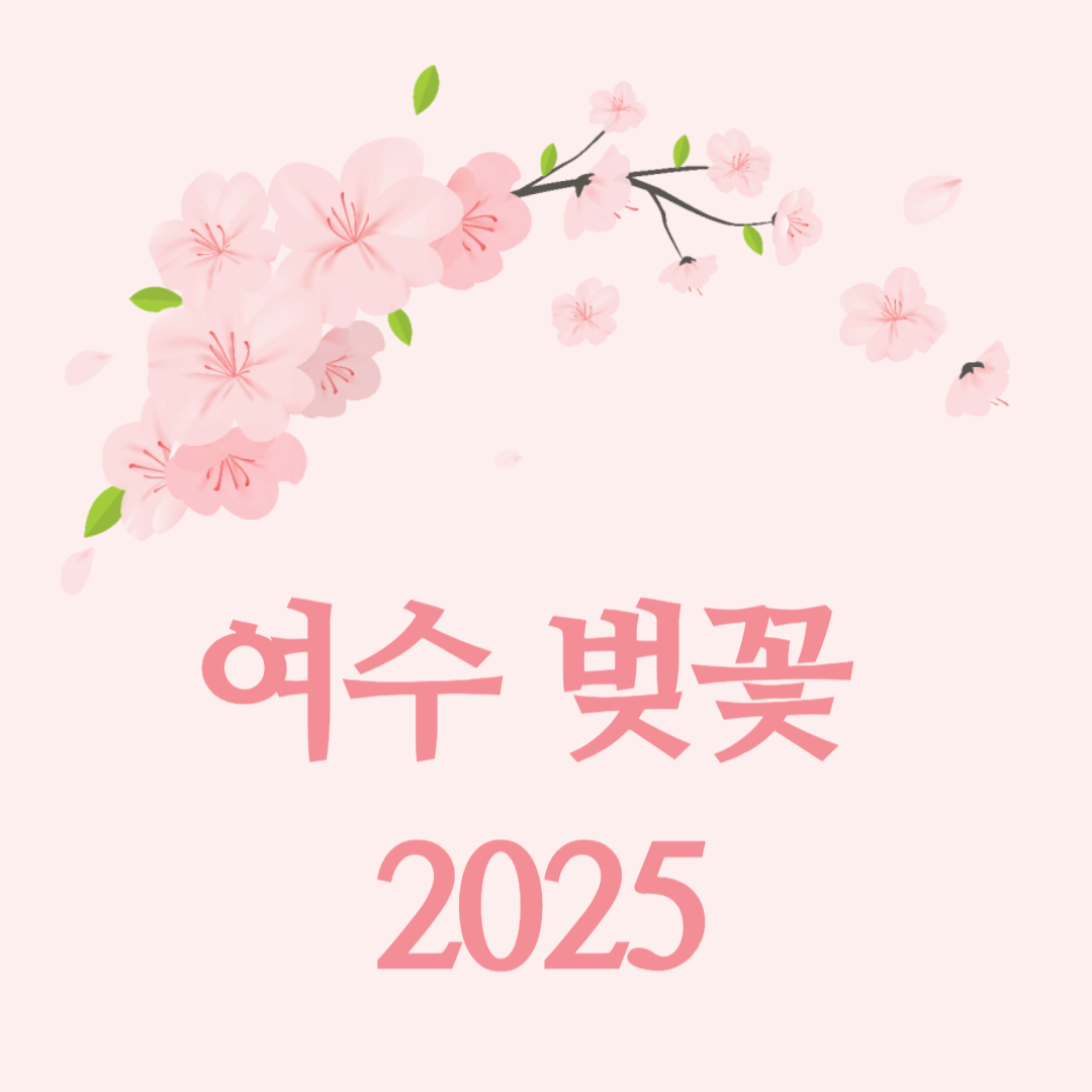 여수 벚꽃 개화시기 2025|만개시기 & 벚꽃 명소 총정리