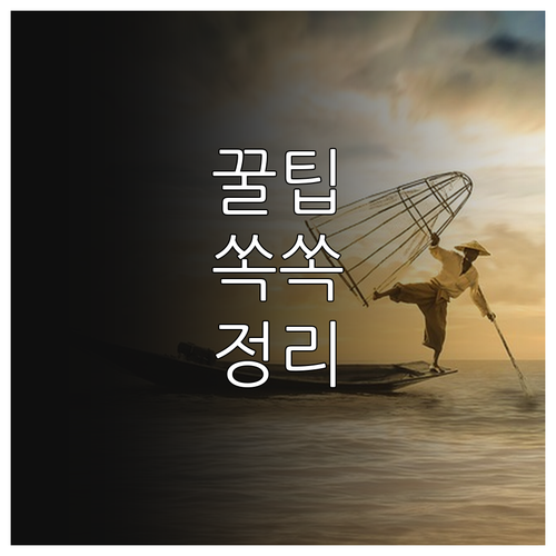 임실군 2025 출산지원 800만원 ..