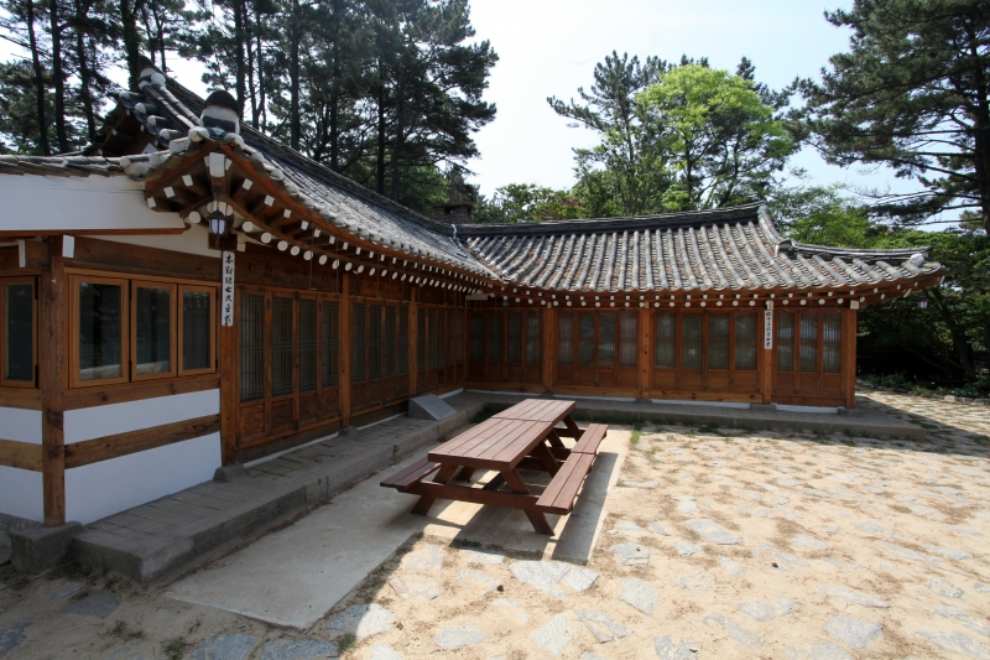 천리포수목원 목련축제