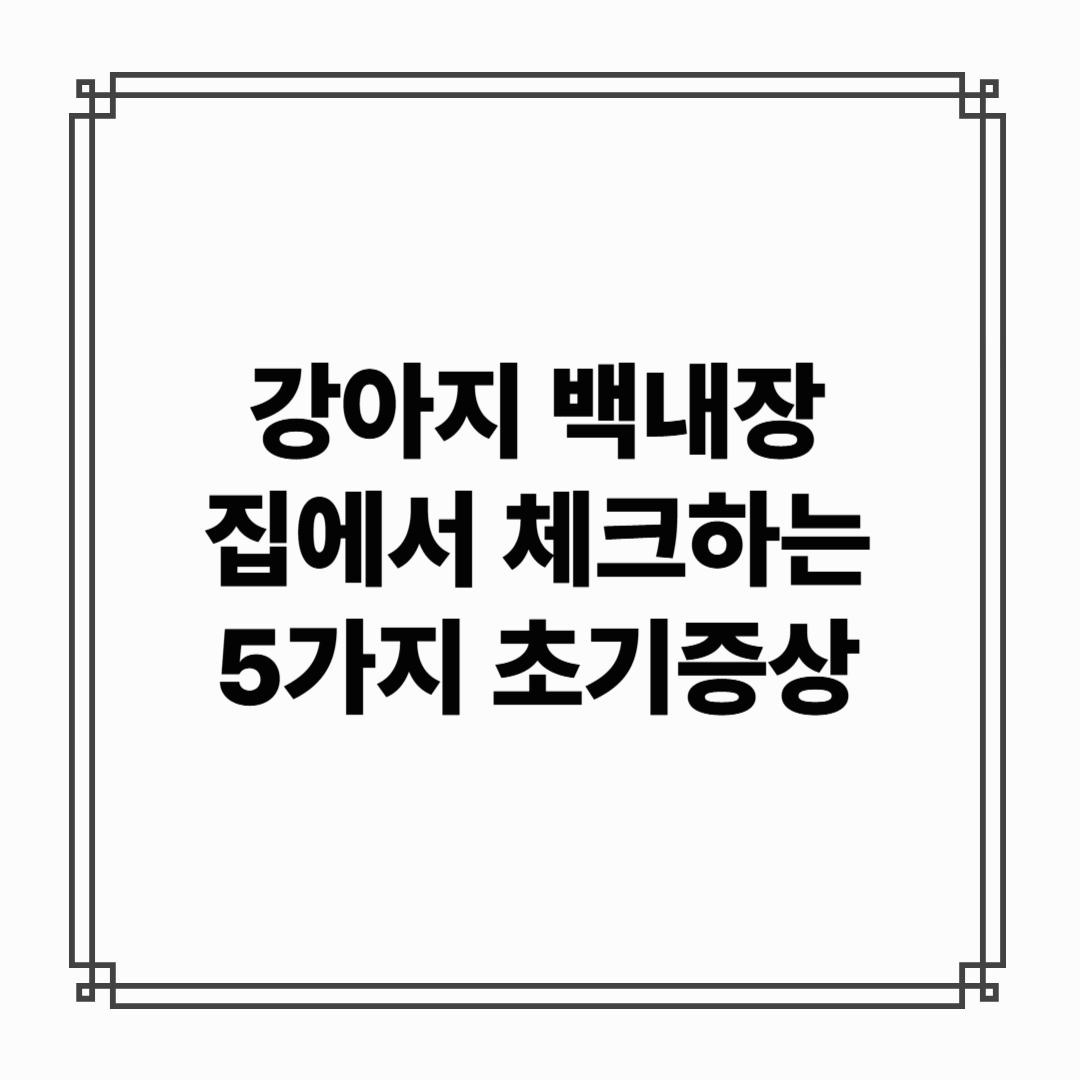 우리 강아지도 백내장일까? 집에서 체크하는 5가지 초기증상
