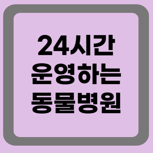 24시간 운영하는 동물병원