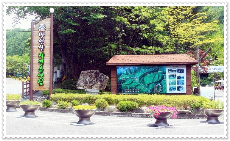 대전 근교 트리하우스 - 만인산자연휴양림