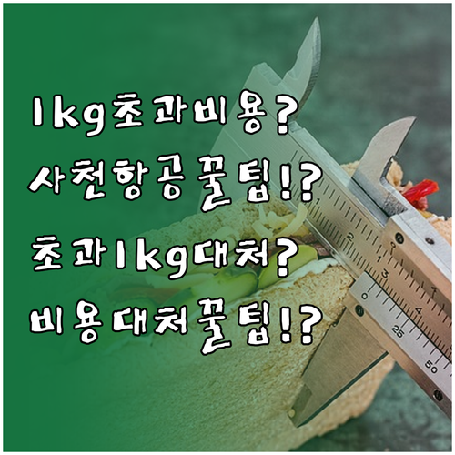 사천항공 위탁수하물 1kg 초과 비용..