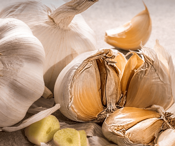 마늘