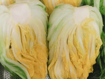 백김치 맛있게 담그는 방법