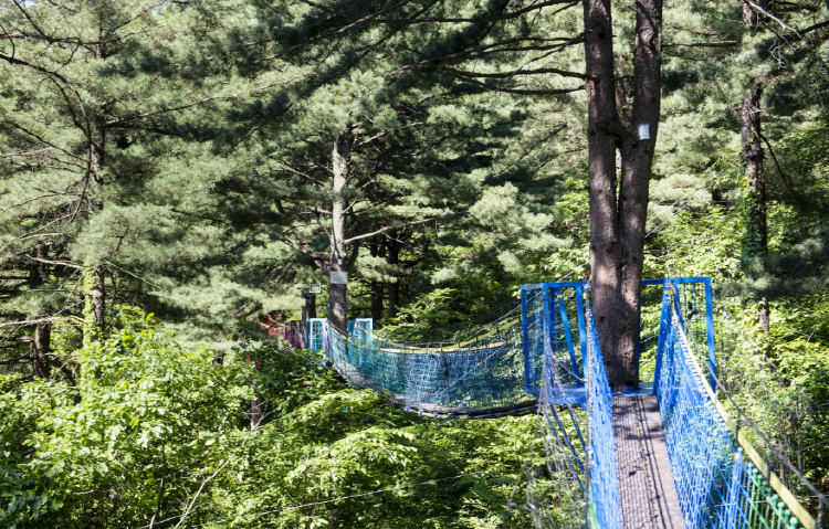 포천 어메이징파크