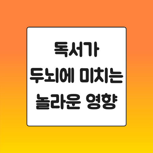 독서가 두뇌에 미치는 놀라운 영향