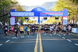 경주 벚꽃 마라톤 관련 사진