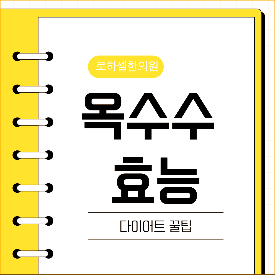 옥수수 효능 포만감을 높여줘요!