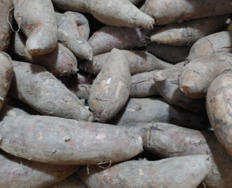 당뇨 환자에게 야콘이 좋은 이유 이눌린, 혈당 안정, GI지수