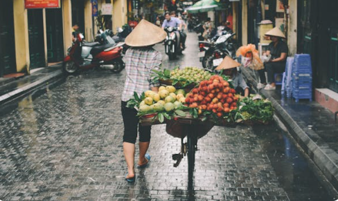 베트남 여행지 추천 베트남 TOP 여행지