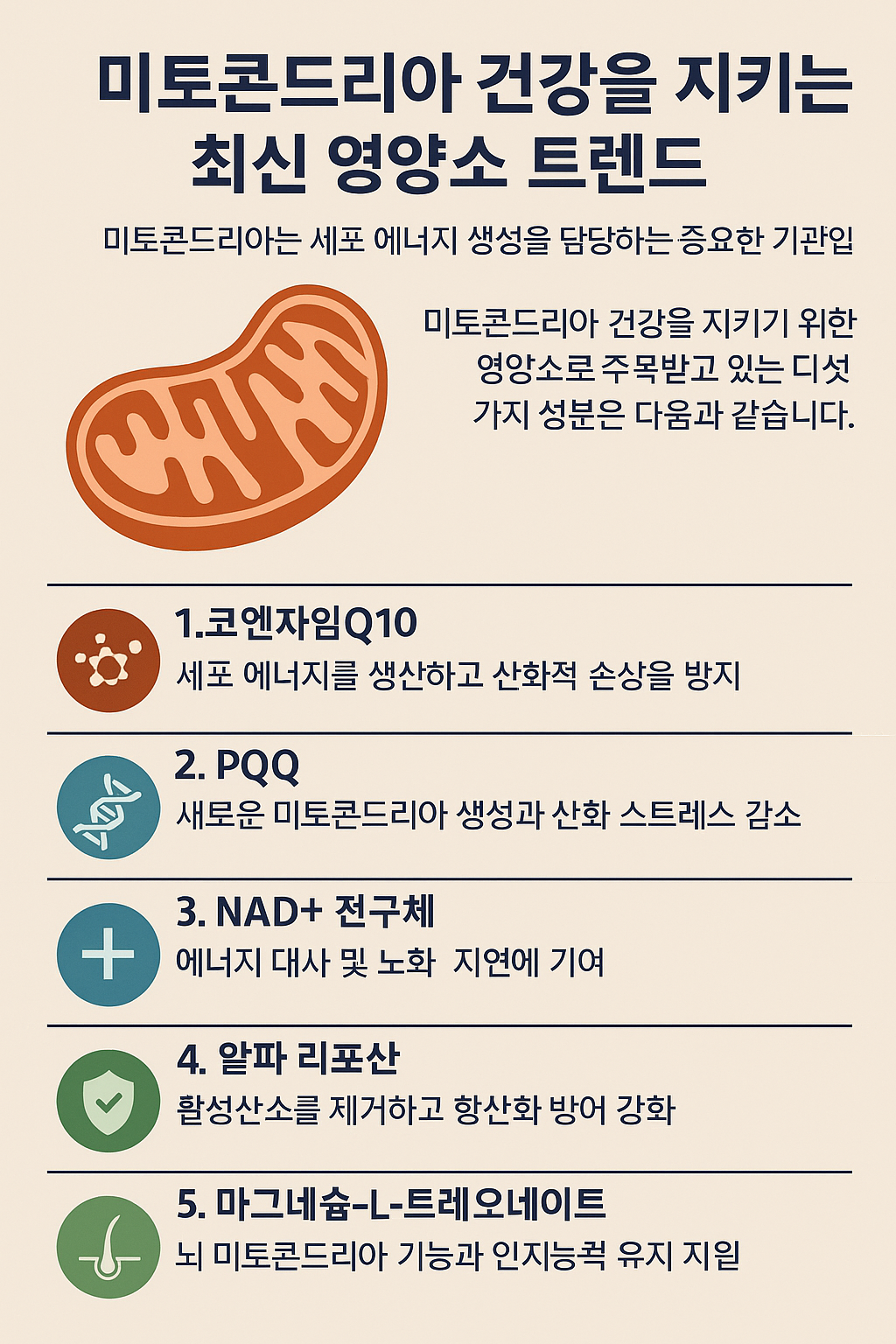 미토콘드리아 건강을 위한 최신 영양소 트렌드