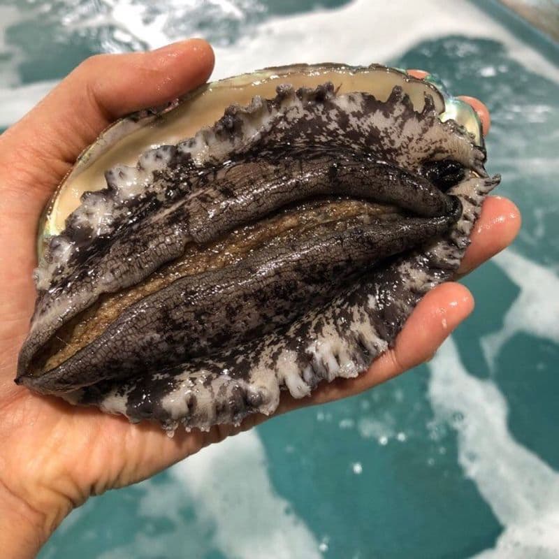 왜 전복을 두드려 탕을 끓였을까? 궁중 최고 보양식, 추복탕