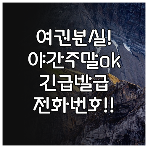 야간 주말 여권 분실 신고 및 긴급 ..