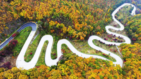 [명품숲길 50선 가을단풍 산행 ⑦] 충북 보은 속리산둘레길 : 말티재·법주사 단풍과 정이품송이 어우러진 가을 명품길