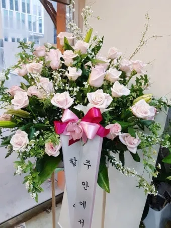 손주 축하 인사 돌 생일 유치원 입학 따뜻한 문구 모음_16