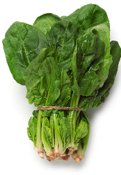 시금치