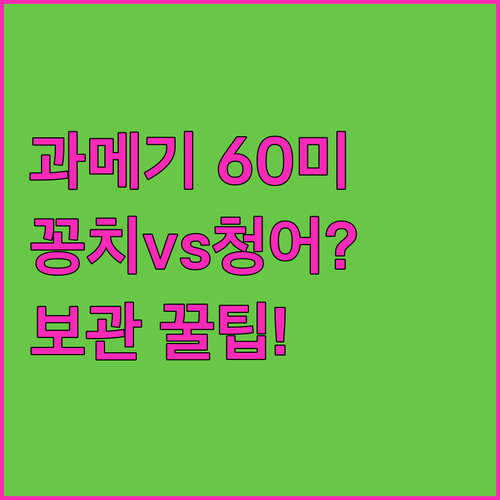 구룡포 과메기 60미 가격 혜택과 꽁..