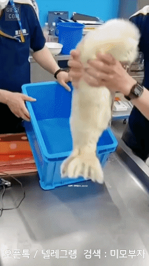 11월 7일 신문스크랩