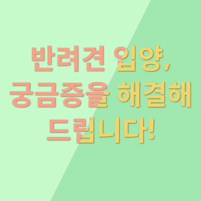 반려견 입양_3