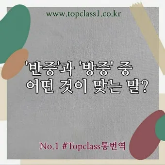 반증 방증 뜻 차이 맞춤법 한자_24