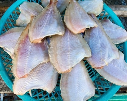 6시내고향-경주-감포-참가자미